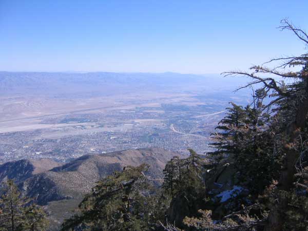 palmsprings_view1.jpg