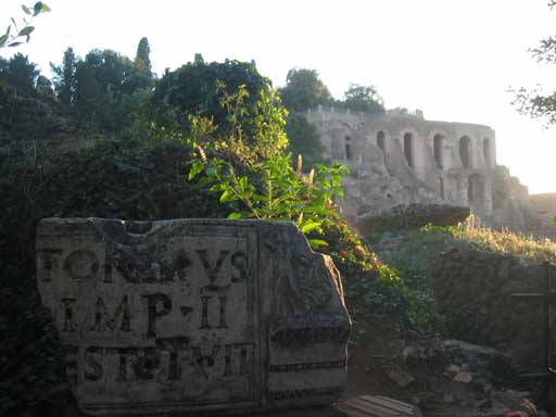 roman forum/palatine